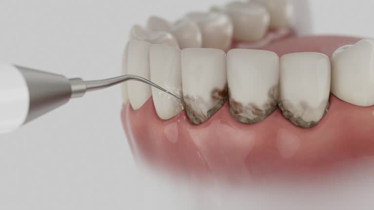 Reliable Dental contractor in International Falls, MN by Dentist Open Now